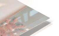 Blossoming Tree  HD Metal print