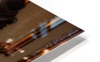 Refined Beauty  HD Metal print