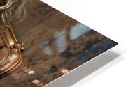 Carefully Cultivated  HD Metal print