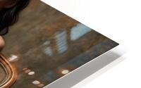 Provocative Intent  HD Metal print