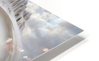  Darkness Within  HD Metal print