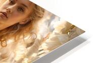 A Setting Sun  HD Metal print