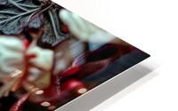 Captivating Gaze  HD Metal print
