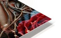  Watchful Alertness  HD Metal print