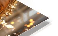  Touch of Magic  HD Metal print