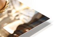  Golden Details  HD Metal print