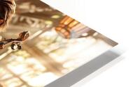  Romantic Demeanor  HD Metal print