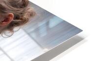 Subdued and Reflective  HD Metal print