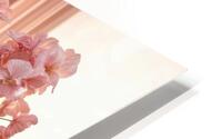  Graceful and Serene  HD Metal print