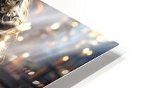 Deep Immersion  HD Metal print