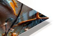 Covered in Orange  HD Metal print