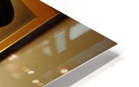 At The Camera  HD Metal print