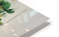 Lush Green  HD Metal print