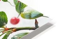 Cherries and Dice  HD Metal print
