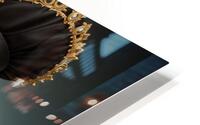  Commanding Attention  HD Metal print
