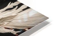  Feathered Wings  HD Metal print