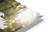 Enchanting Character  HD Metal print