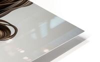  Physical Beauty   HD Metal print
