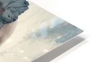  Calm Expression  HD Metal print