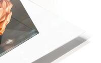  Glass Casing  HD Metal print