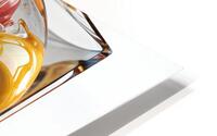  Transparent Panels  HD Metal print
