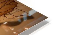  Inviting Curves  HD Metal print