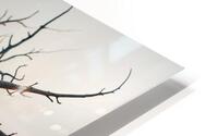  Interconnected Neurons  HD Metal print