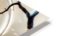  Magnifying Lens  HD Metal print