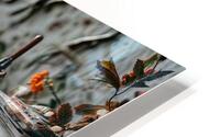 Aged Buttons  HD Metal print