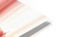  Rosy Tones HD Metal print