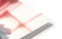  Blurred Pink HD Metal print