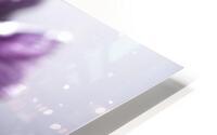  Deep Violet HD Metal print