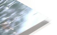  Rainy Day HD Metal print