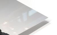  Reflective Surface HD Metal print
