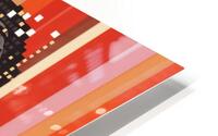  Dynamic and Colorful HD Metal print