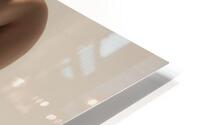  Bent Over Impression metal HD