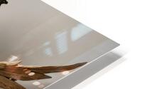 Decorative Element HD Metal print