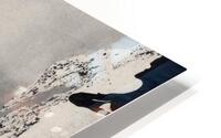 Knowledge and Mystery  HD Metal print