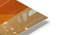 Elongated and Stylized  HD Metal print