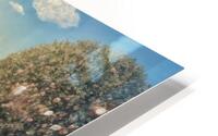 Dreamy Fable  HD Metal print