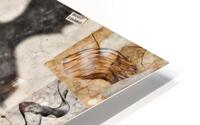 Collage Novel  HD Metal print