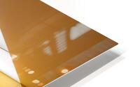 Lacquered Skin  HD Metal print