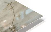 A Sallow Sky  HD Metal print