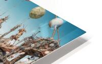 Slender Poles  HD Metal print