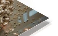 Ruin’s Corrosion  HD Metal print