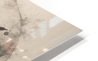 An Intimate Cosmos  HD Metal print
