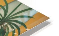 Cultivated Life  HD Metal print