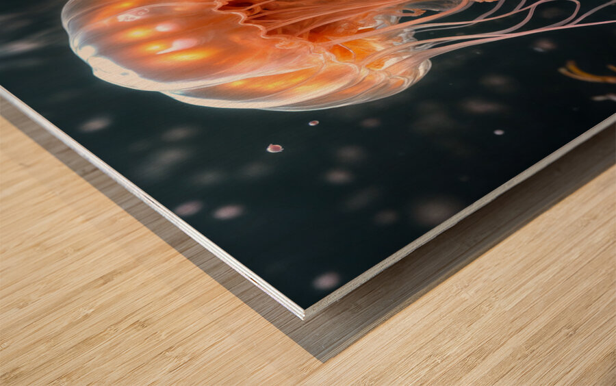  An Inner Glow  Wood print