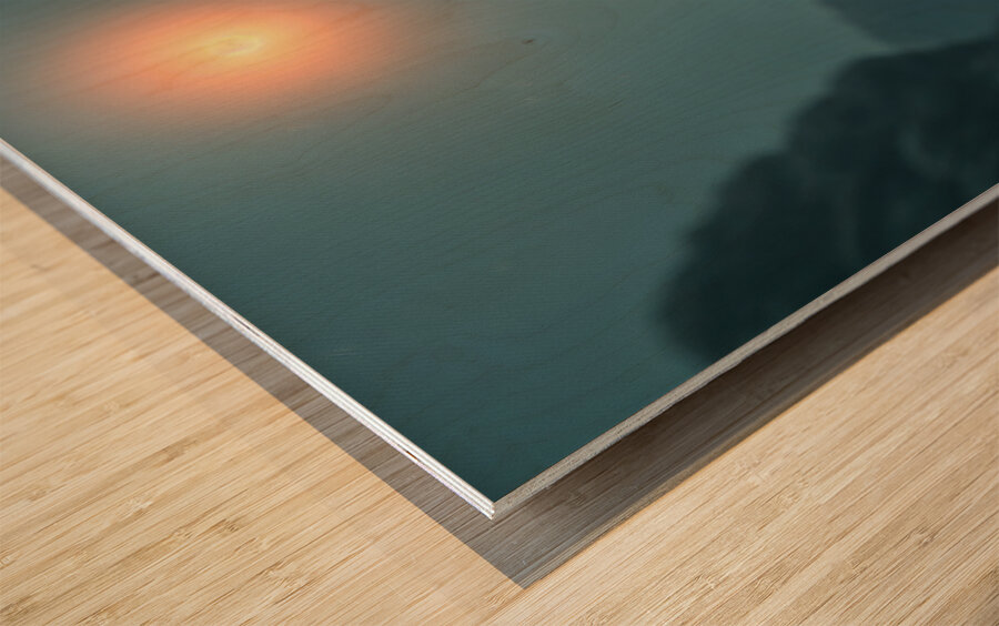 Natural World  Wood print