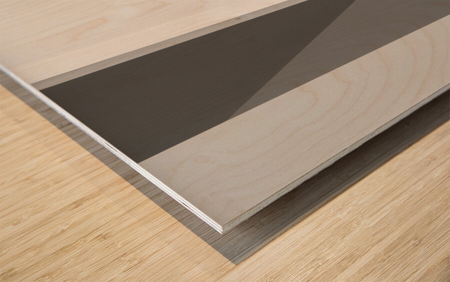  Frameworks of Life  Wood print